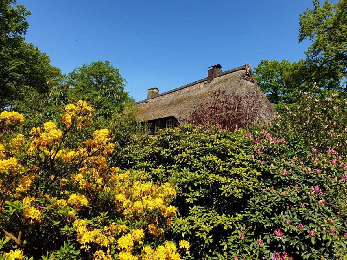 Hof Lindemann Vila Schneverdingen Exterior foto